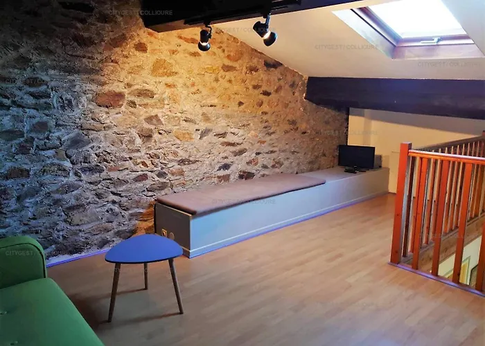 6volt21 Pour 6 Personnes Au Cœur Du Faubourg Appartement Collioure